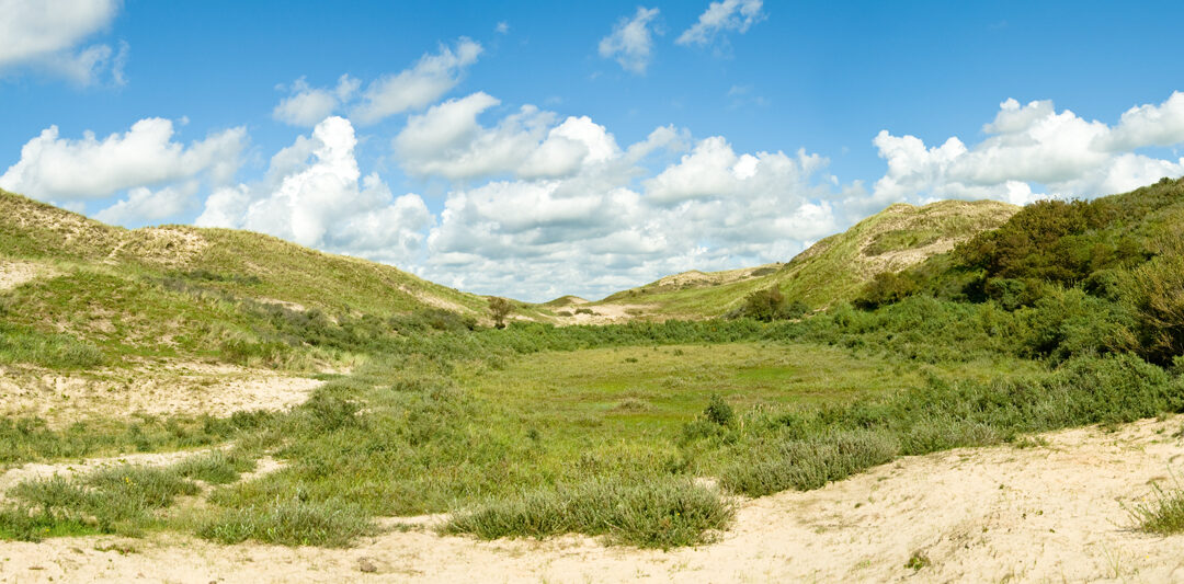 North Sea Views I – Quiet Dunes