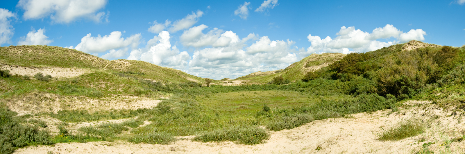 North Sea Views I – Quiet Dunes
